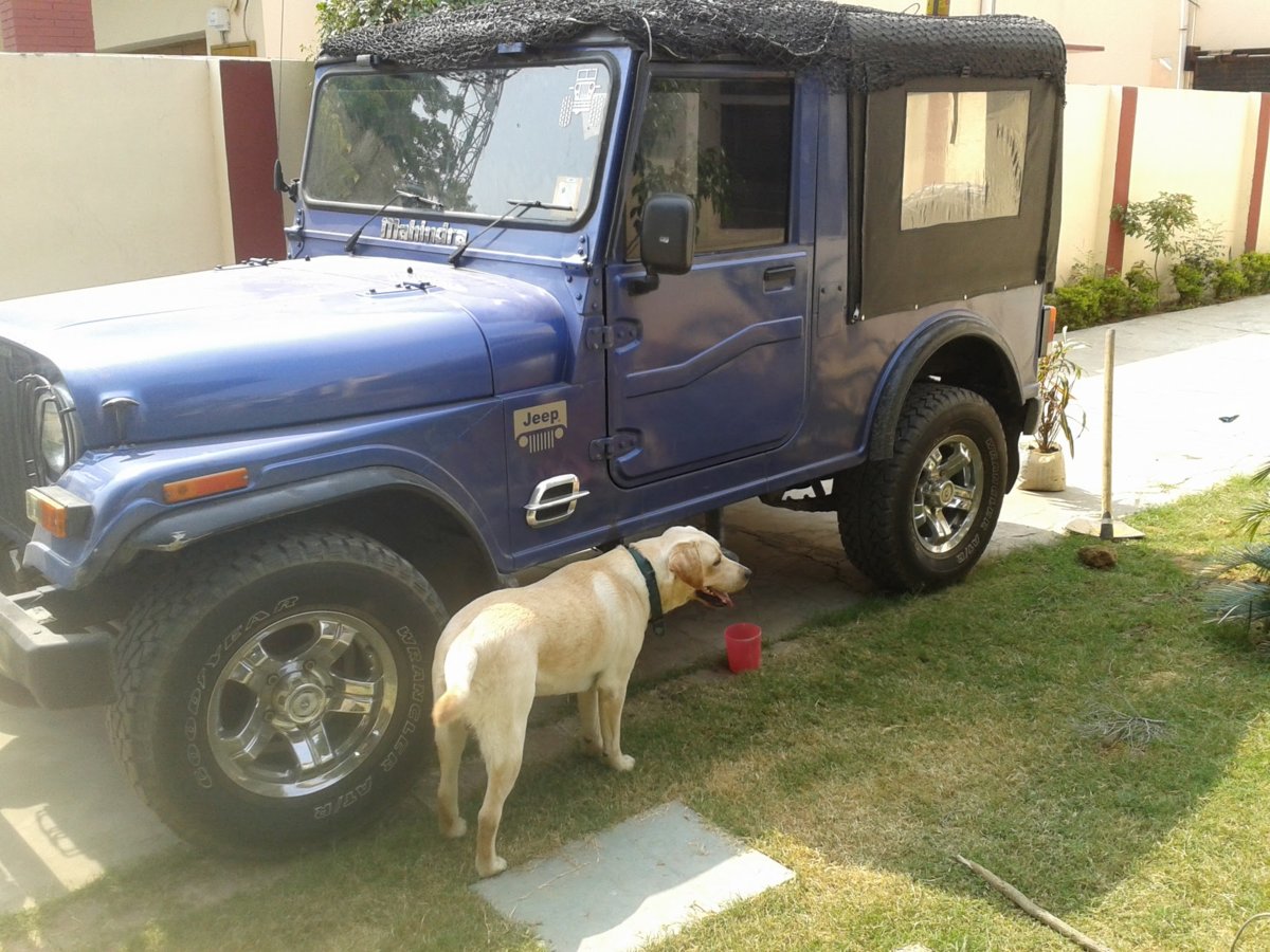 2011-10-07 11.49.43.jpg