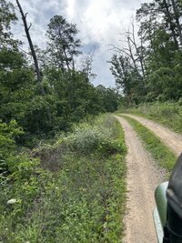 IMG_4325.jpeg